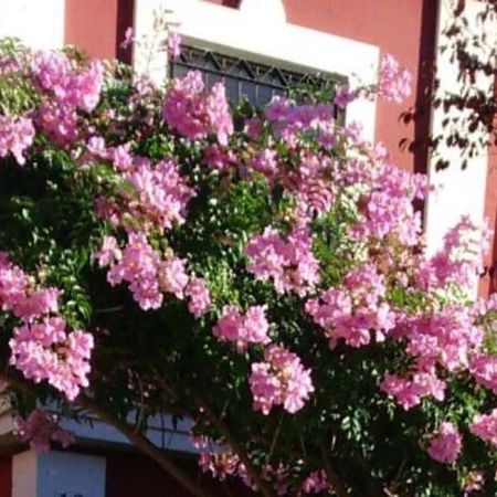 Casa Bignonia Villa Salteras Exterior photo