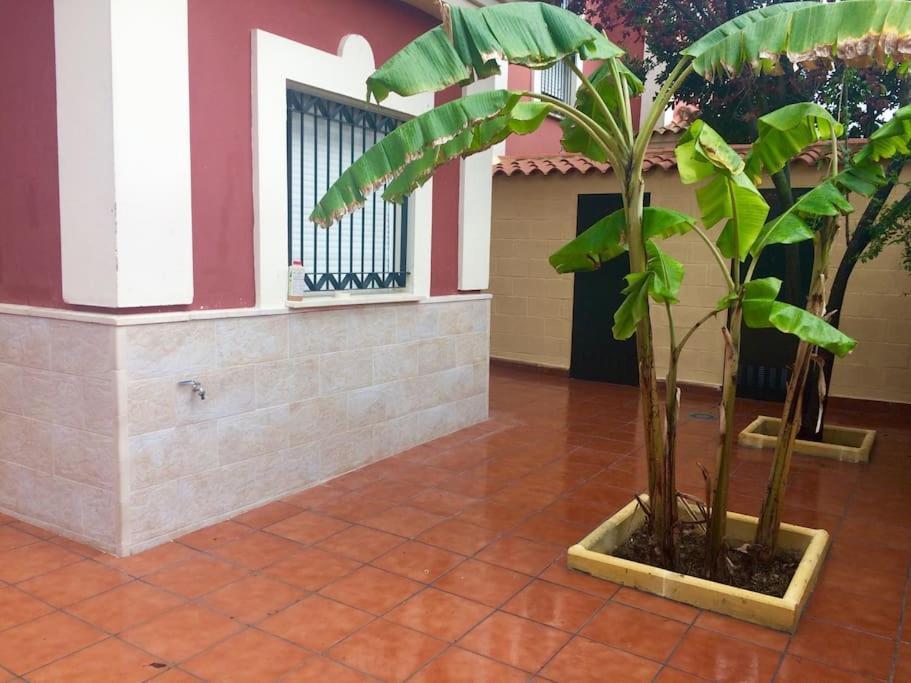 Casa Bignonia Villa Salteras Exterior photo
